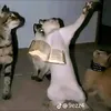 randomcontent6942