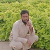 sajjad13360