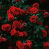 justicesloveart22