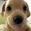 canyouhurtme0