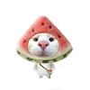 hgshe_256