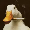 quytedit