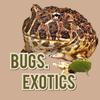 bugs.exotics