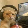 yohanpubgm1