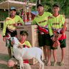 dafid_tzy08