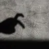 pipiooooy