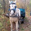 andrey_melnik222