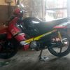 bocorhalus56