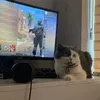 whatcoukdbeworsr