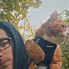 jamesdteller_