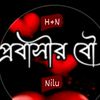 nilufaislam960