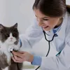 glav.veterinar