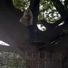 ryanrawr._