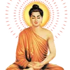 hoasuanangha