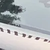 _stxcksx_