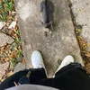 alex_ilva01