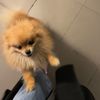 iikh.k1