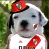 lautaro_raul