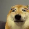 kakacon999