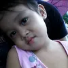 zia._.dns