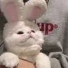 lynh_dayyni111