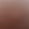shareco_net