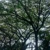j0_0939