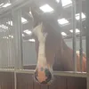 amy____xx