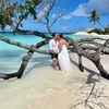 mr_mrs_lici_hyko