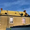 ferretcouvreurgironde