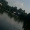 mynhan635
