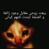 eoual