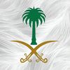 amis_reem
