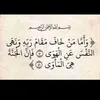 bousfiha1111