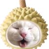 aiueo_oeuia65