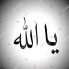 anasiz.q
