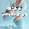 mohamed_77mo