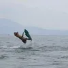 ryllelabu2