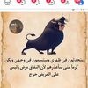 user8922347762560