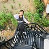 cingmuanlian1