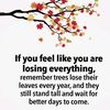mamun982982