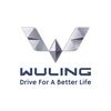 Wuling Arista Bintaro