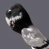 archer_624