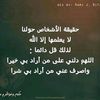 eldod8402