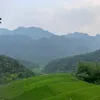phuctan812