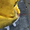 andersonsilva_16