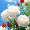 maiyashrestha599