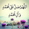 aldmera_q8