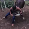 xamanzinho027