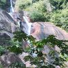 yllamiauki
